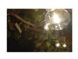 Imagen de Guirnaldas Guía De Luces Led 25 + 2 Exterior 7 Metros