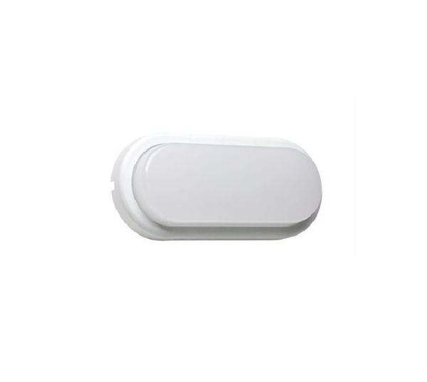 Imagen de Tortuga Led Oval 15w fría Borde Blanco