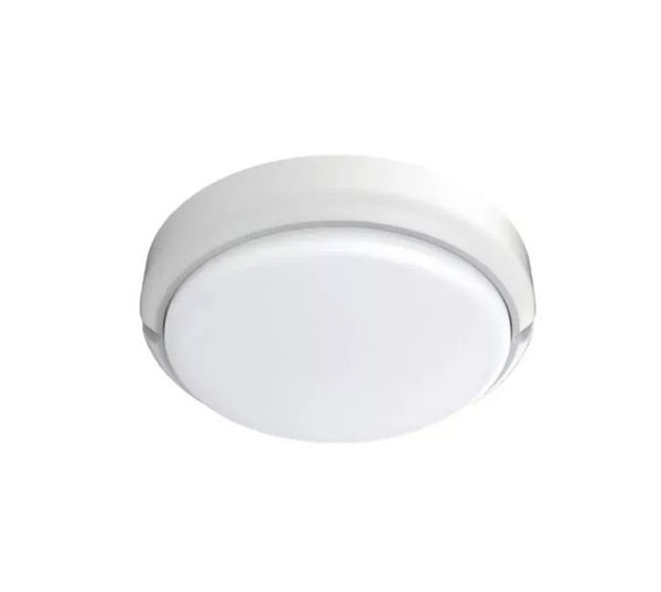 Imagen de Tortuga Led Redonda 15w fría Borde Blanco