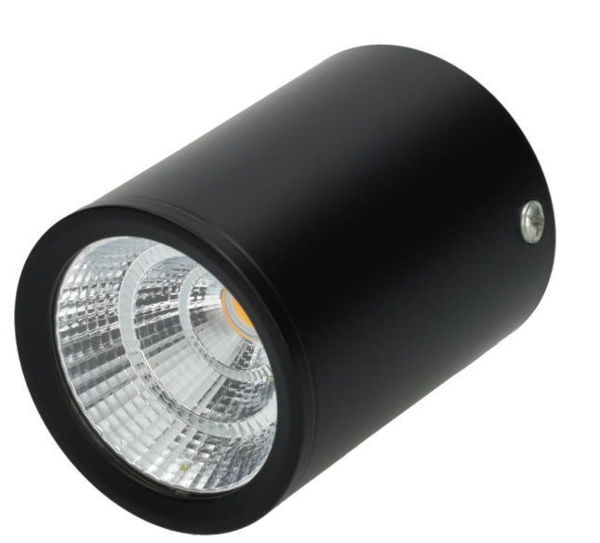Imagen de Downlight exterior cilindro 10w Luz fria negro