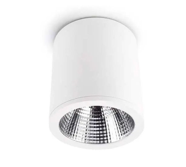 Imagen de Downlight exterior cilindro 10w Luz calida blanco